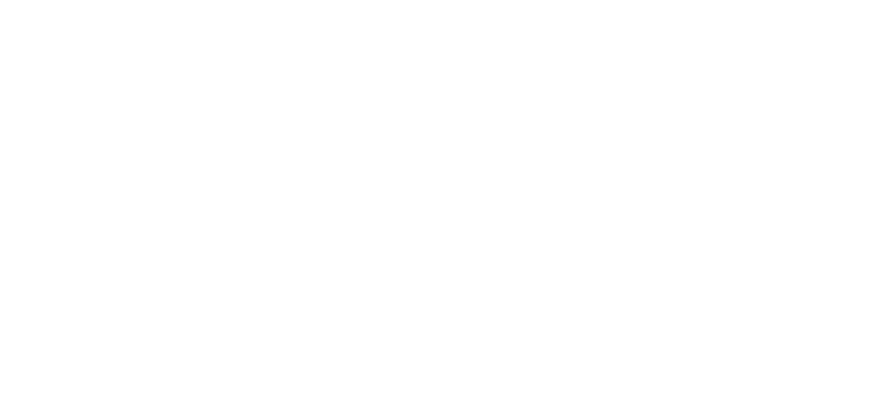 The Signals Institute